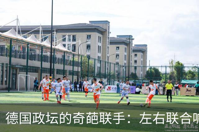 德国政坛的奇葩联手：左右联合喊“停”与“撤